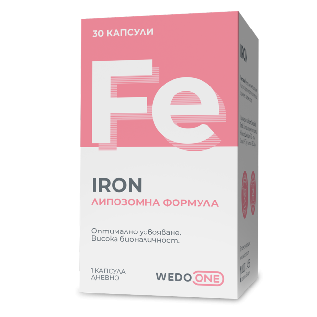 3D_Wedo_Iron_Box-_Frontal_Right