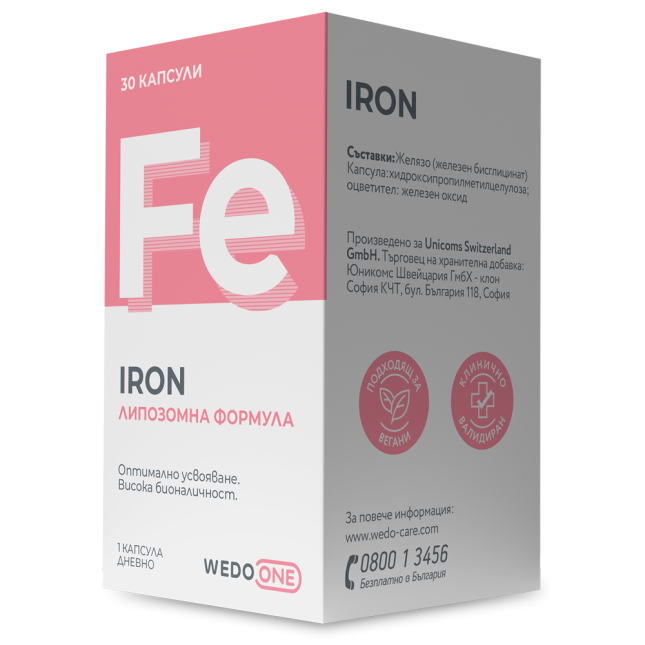 3D_Wedo_Iron_Box-_Frontal_Right45