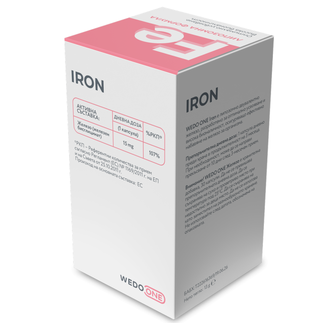 C-_Users_1_Downloads_re_3D_Wedo_Iron_Box-_Axon_Back-Right